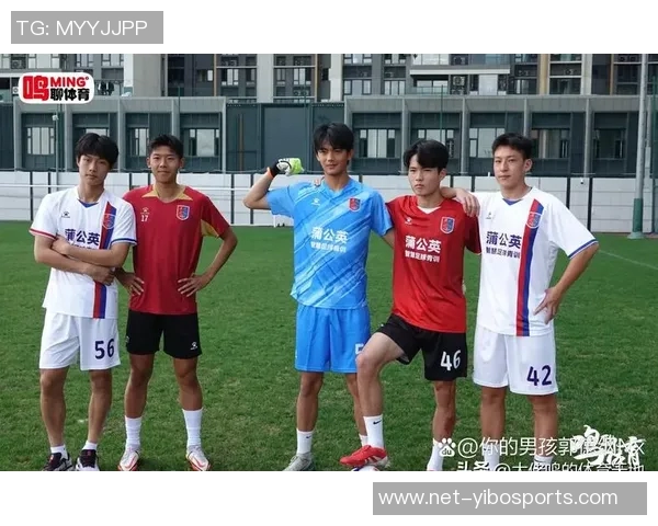 足球队衣的魅力与文化探讨如何选择适合自己的球队装备